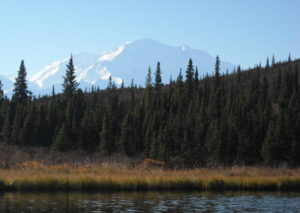 View of Denali from Wonder Lake